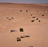 Rubbish left by LRDG in 1941